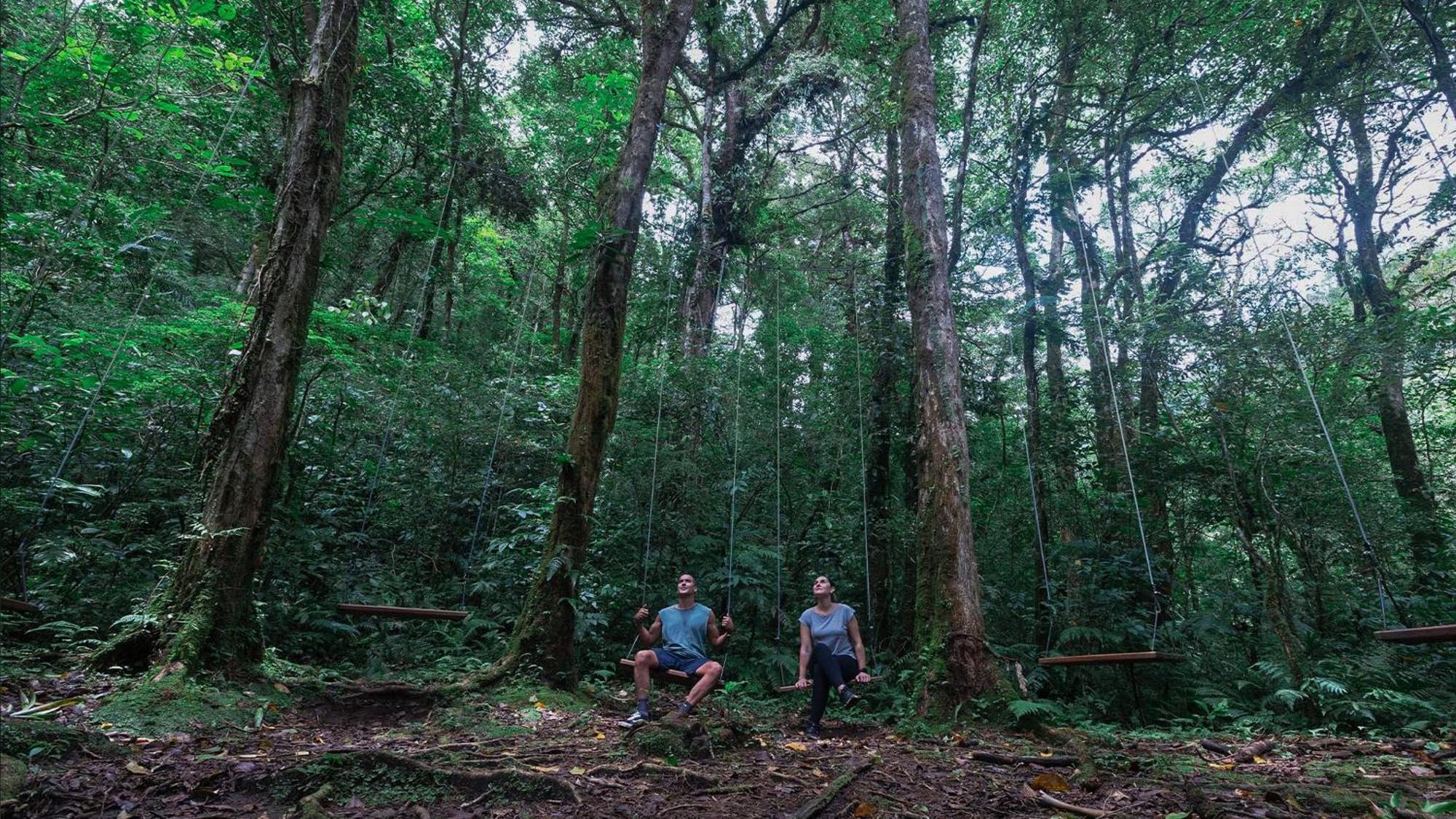 El Silencio Lodge & Spa Costa Rica Toro Amarillo Εξωτερικό φωτογραφία